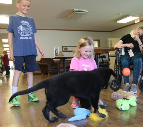 wAkis-10-wks-BHR-r6