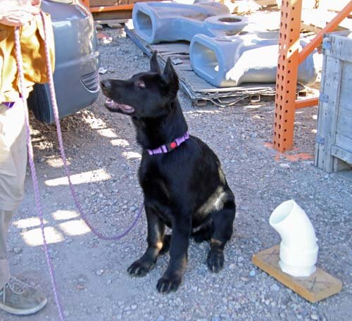wAkis-17wks-NW-d4