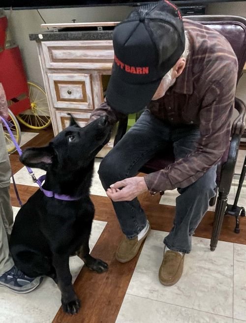 wAkis-17-wks-WV-b7