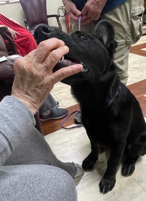 wAkis-17-wks-WV-b9