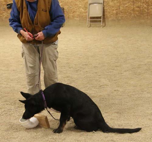 wAkis-19wks-NW1-c9