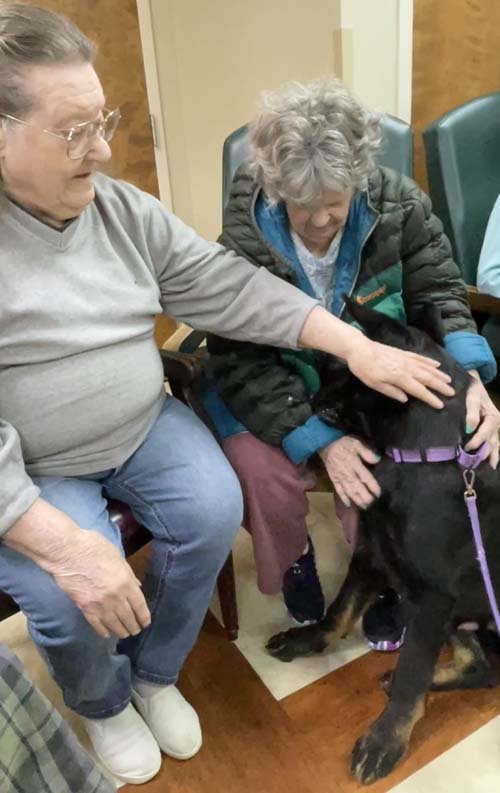 wAkis-22-wks-WV-b9