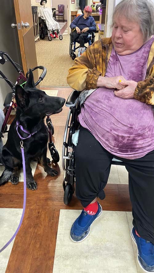 wAkis-22-wks-WV-d1