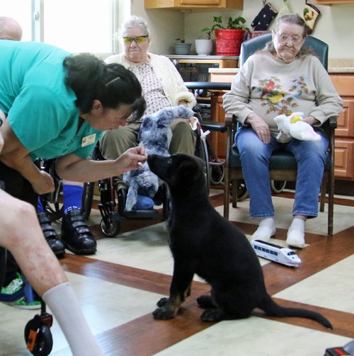 wAkis-10-wks-WV-l2