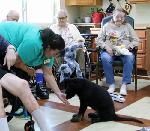 wAkis-10-wks-WV-l3