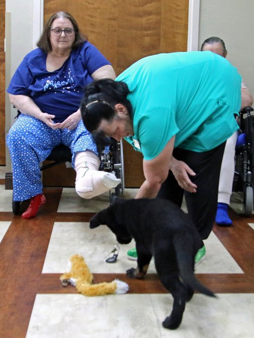 wAkis-10-wks-WV-q5