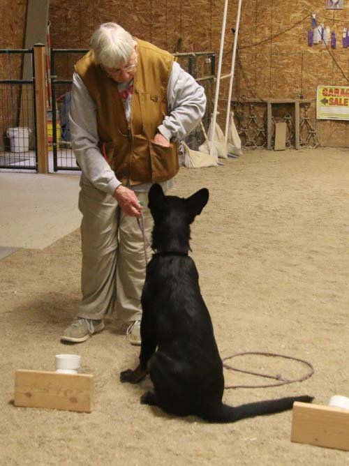 wAkis-19wks-NW2-h7