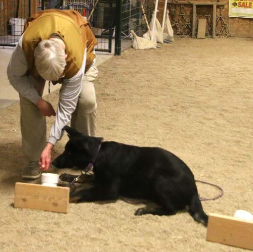 wAkis-19wks-NW2-i3