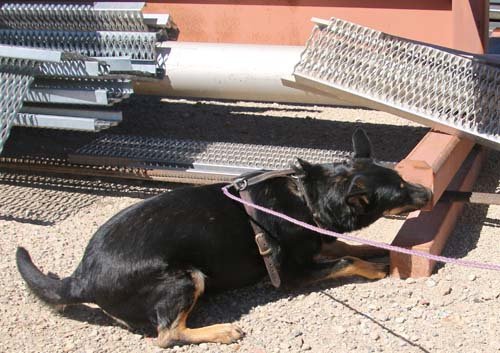 wNW-6-28-26-Zeal-g4